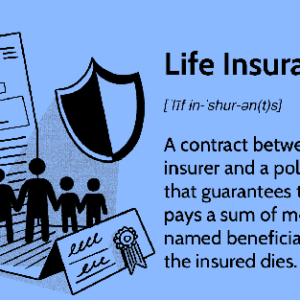 Value of Term life insurance