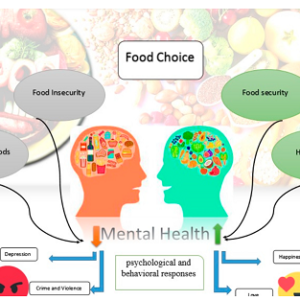 Organic Supplements for Optimal Well-Being