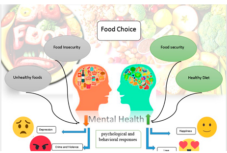 Organic Supplements for Optimal Well-Being