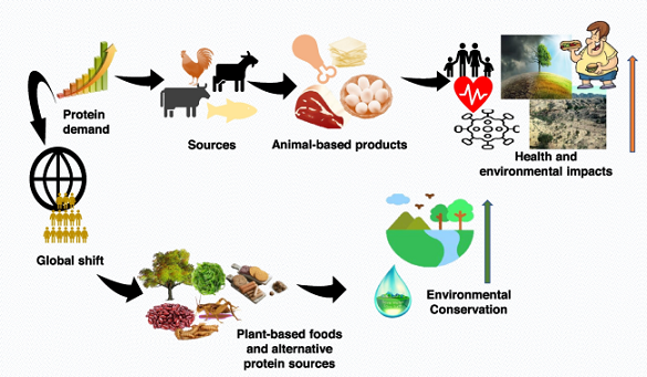 Unlock the Power of Organic Products for Optimal Health