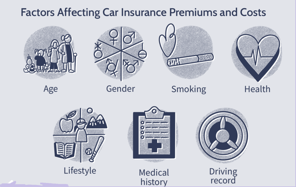 Compare Insurance Plans and Rates Easily