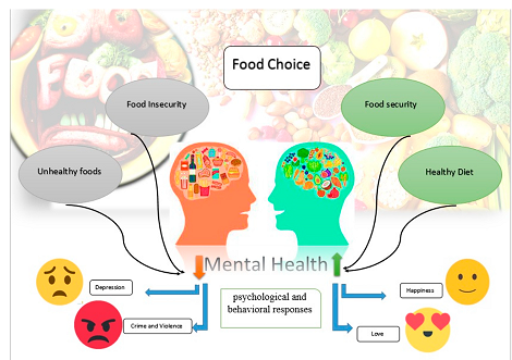 Elevate Your Wellness with Organic Nutrition Options